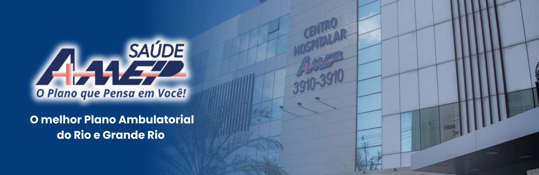AMEP Banner